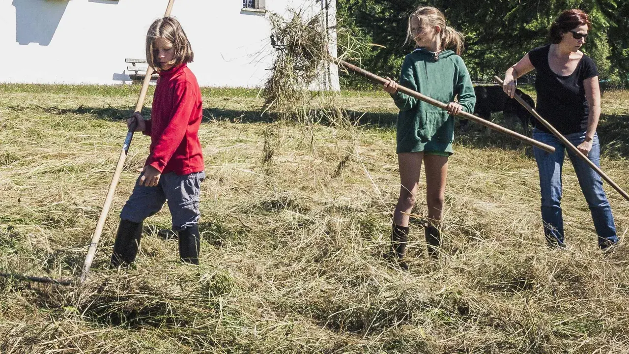 Kinderarbeit in Deutschland: Zwei Mädchen und eine Frau rechen Heu auf einer Wiese.