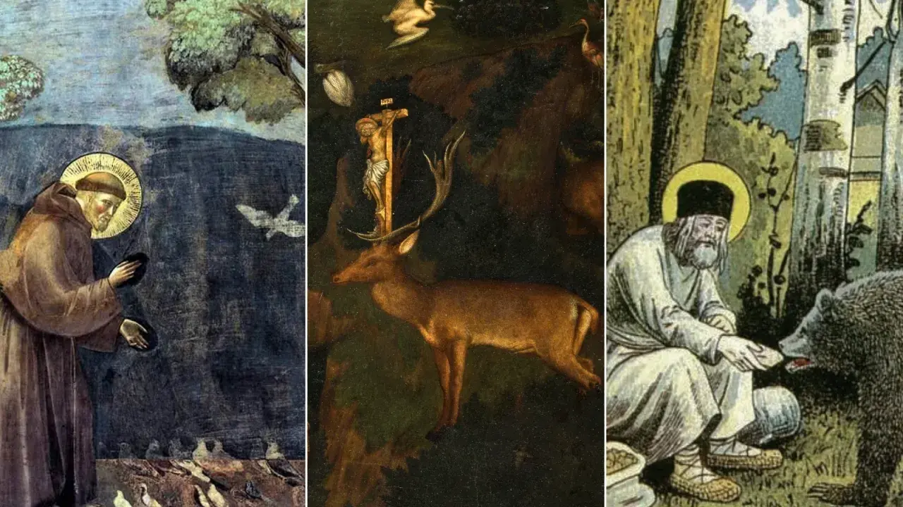 Heiliger Franziskus, der Schutzpatron der Tiere, füttert Vögel. Daneben ein Hirsch vor einem Kreuz und ein Mann mit einem Bären.