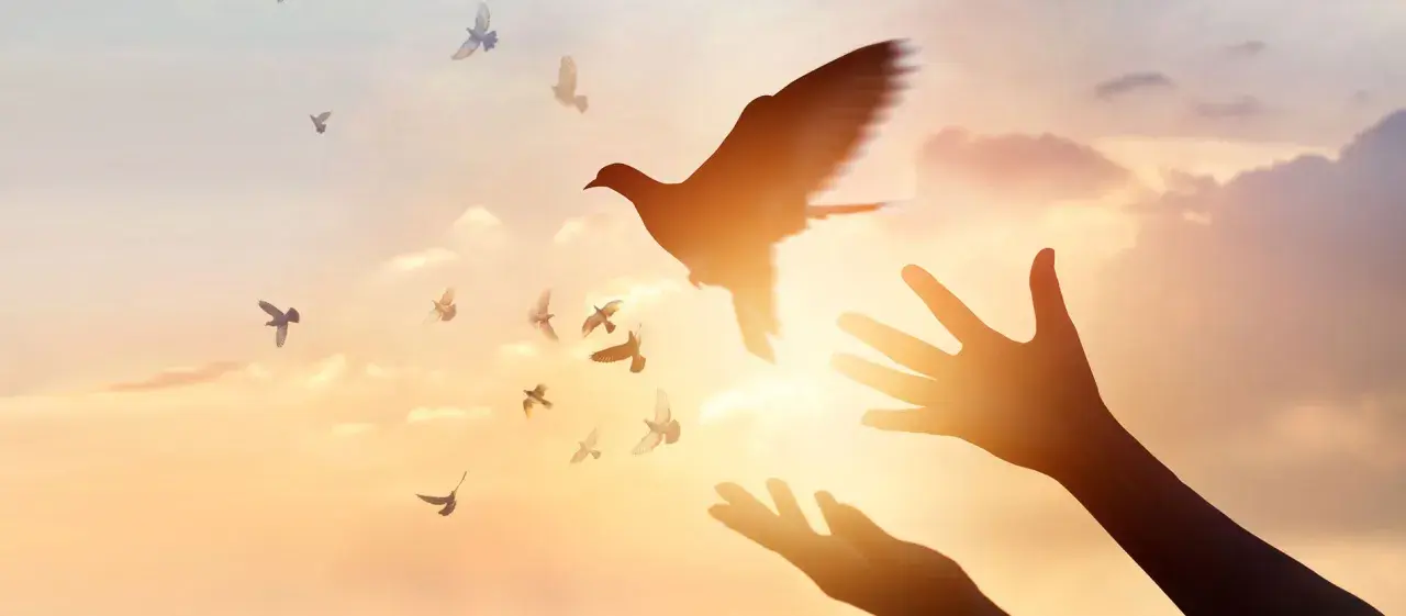 Hände öffnen sich zum Himmel, Tauben fliegen empor. Ein Symbol für Pfingsten und den Heiligen Geist.