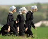 Drei junge Frauen in schwarzen Kleidern und weißen Hauben gehen über ein Feld. Sie verkörpern die Einfachheit, was bedeutet, amish zu leben.
