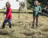 Kinderarbeit in Deutschland: Zwei Mädchen und eine Frau rechen Heu auf einer Wiese.