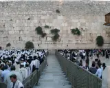 Menschen beten an der Klagemauer. Sie sind Juden, keine Christen.