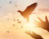 Hände öffnen sich zum Himmel, Tauben fliegen empor. Ein Symbol für Pfingsten und den Heiligen Geist.