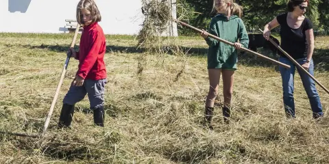 Kinderarbeit in Deutschland: Zwei Mädchen und eine Frau rechen Heu auf einer Wiese.
