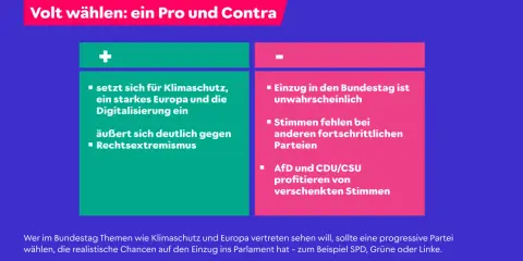 Volt wählen: Pro (Klimaschutz, starkes Europa, Digitalisierung, gegen Rechtsextremismus) und Contra (Einzug unwahrscheinlich, Stimmen fehlen bei anderen Parteien).