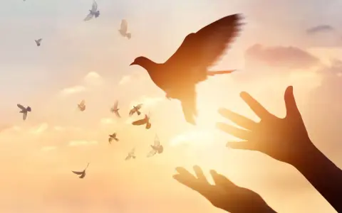 Hände öffnen sich zum Himmel, Tauben fliegen empor. Ein Symbol für Pfingsten und den Heiligen Geist.