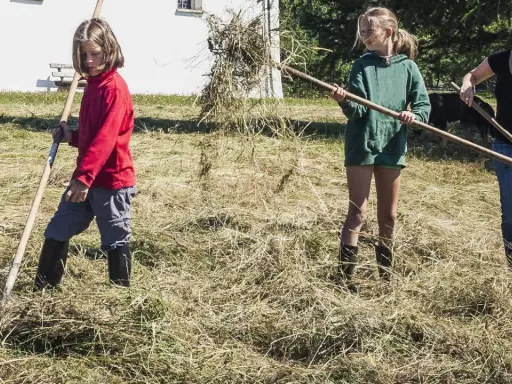 Kinderarbeit in Deutschland: Zwei Mädchen und eine Frau rechen Heu auf einer Wiese.