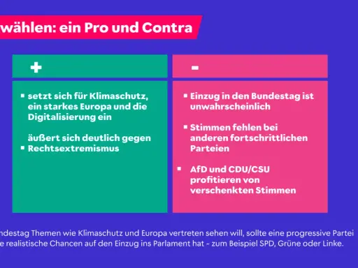 Volt wählen: Pro (Klimaschutz, starkes Europa, Digitalisierung, gegen Rechtsextremismus) und Contra (Einzug unwahrscheinlich, Stimmen fehlen bei anderen Parteien).