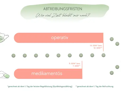 Übersicht über Abtreibungsfristen: Operativ bis 14. SSW, medikamentös bis 9. SSW. Wie viel Zeit bleibt mir noch?