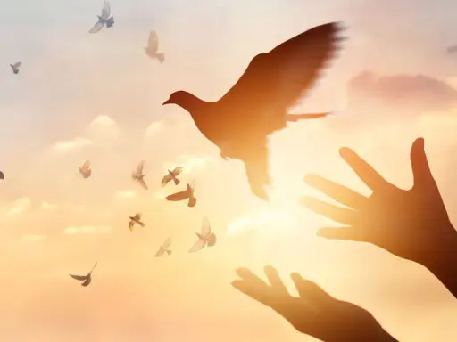 Hände öffnen sich zum Himmel, Tauben fliegen empor. Ein Symbol für Pfingsten und den Heiligen Geist.