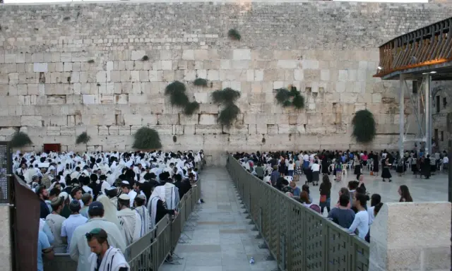 Menschen beten an der Klagemauer. Sie sind Juden, keine Christen.