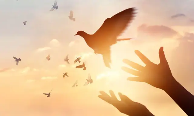 Hände öffnen sich zum Himmel, Tauben fliegen empor. Ein Symbol für Pfingsten und den Heiligen Geist.