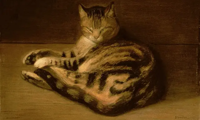 Ein gestreifter Kater ruht sich aus, gemalt von Theophile Steinlen.